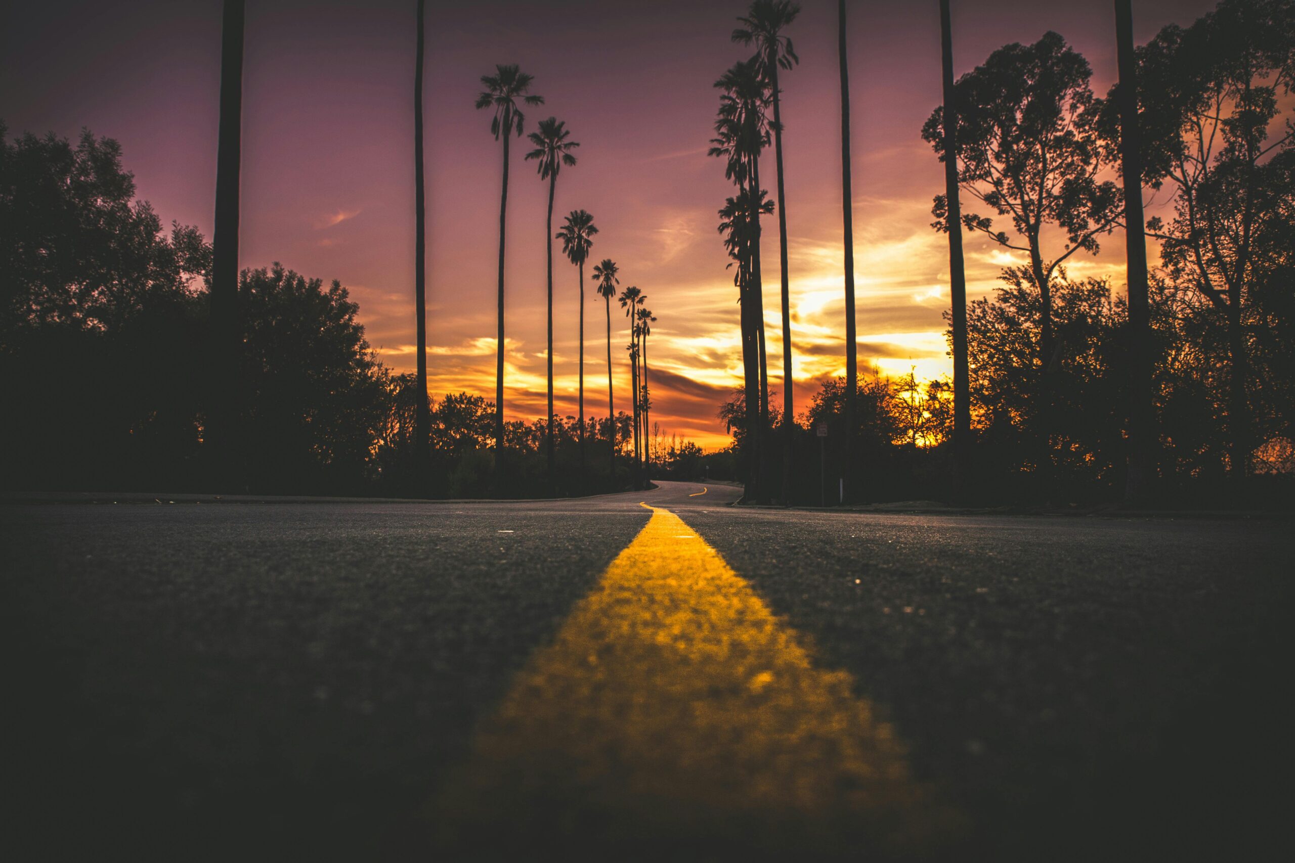 Long Distance Project Management